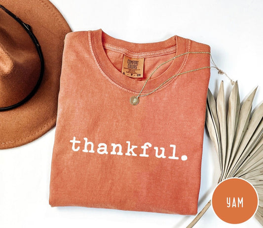 Comfort Colors Retro Thankful Shirt. Perfect for Thanksgiving!