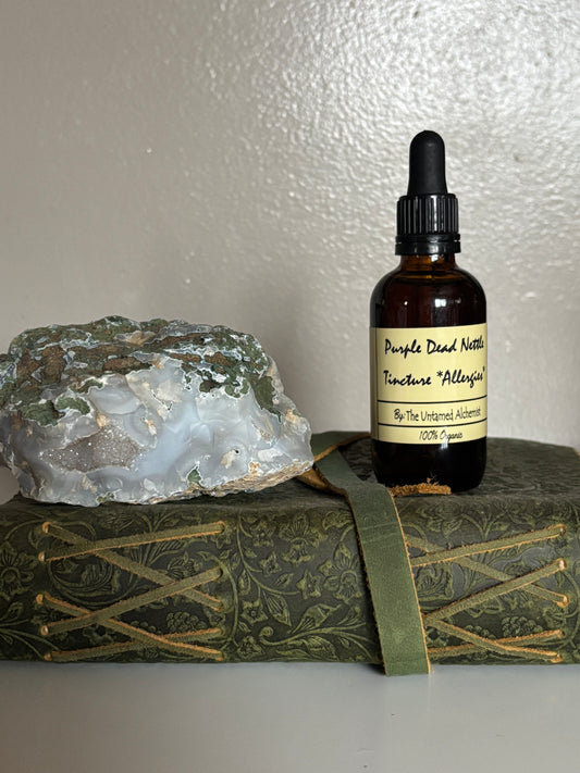 Purple Dead Nettle Tincture