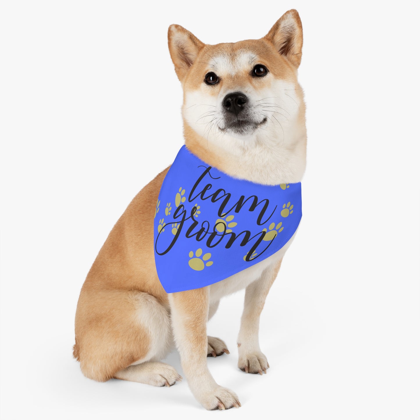 Dog Bandana